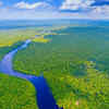 Brazil – 447 species