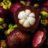 Mangosteen 
