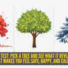 Article image for: Personality test: Pick a tree and see what it reveals about what makes you feel safe, happy, and calm