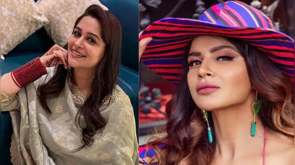 Dipika Kakar, Gauri Pradhan to Aashka Goradia: TV celebs who are successful entrepreneurs