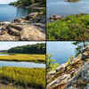 Article image for: 5 most snake-populated waters in New England