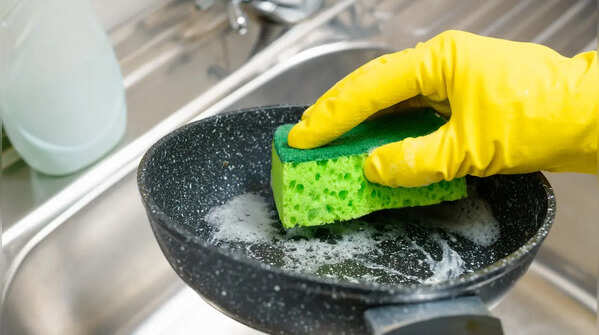 Dish sponge