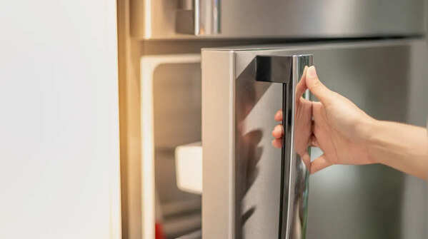 Fridge handles
