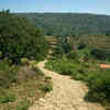 Article image for: Karnataka suspends Trekking activities on forest trails with wildlife movement