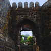 Article image for: The incredible monitor lizard legend behind Maharashtra’s famous Sinhagad Fort has long fascinated travellers
