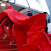 Article image for: No trails and <i class="tbold">giant</i> gowns on the carpet