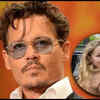 Article image for: From lawsuits to public feuds: Controversies that kept <i class="tbold">Johnny Depp</i> in headlines