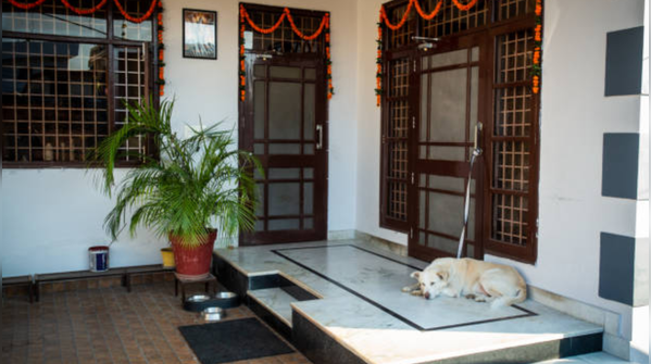 The verandah that nobody builds anymore