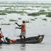 Article image for: Monsoon may hit Andamans this week: IMD