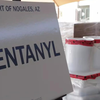 Article image for: US imposes visa ban on Indians linked to alleged fentanyl trafficking network