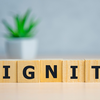 Why should dignity not depend only on income