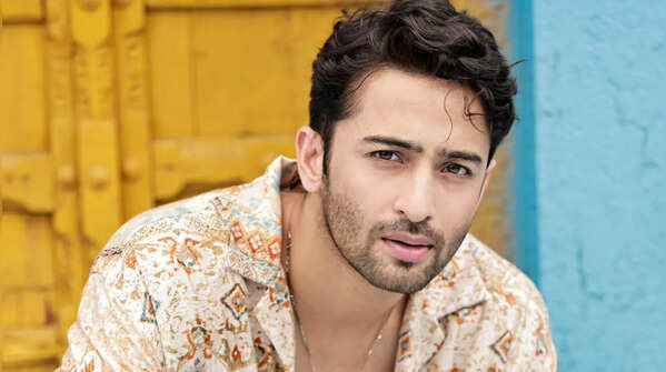 Shaheer Sheikh
