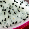 Germinating seeds