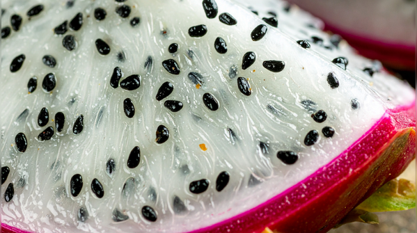 Germinating seeds