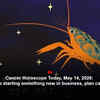 Article image for: Cancer Horoscope Today, May 14, 2026: If you’re starting something new in business, plan cash flow