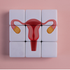Article image for: A normal period does not mean a healthy ovulation