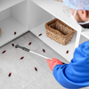 Article image for: <i class="tbold">call</i> a professional for severe infestations