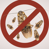 Article image for: Natural repellents can aid other <i class="tbold">treatment</i>s