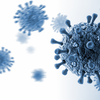 Article image for: The best ways to protect yourself from Hantavirus