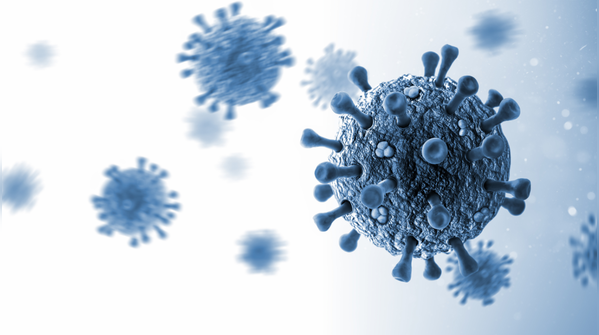 The best ways to protect yourself from Hantavirus