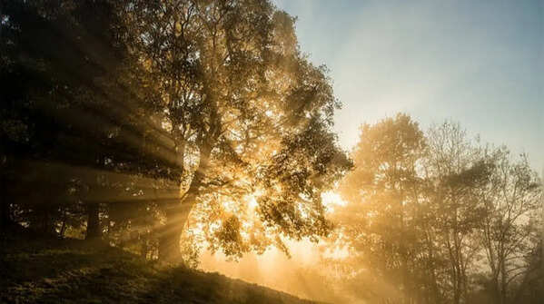 The success depends on sunlight, water and soil, not costly equipment