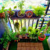 Article image for: This ₹100 balcony setup can grow enough herbs for daily cooking