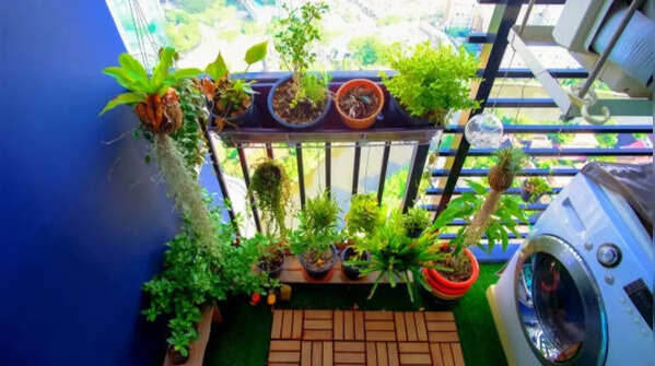 This ₹100 balcony setup can grow enough herbs for daily cooking