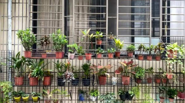 Cool roof gardens are becoming lifestyle spaces, not just plant corners