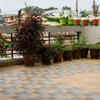 Herbs and vegetables are becoming part of cool roof gardens