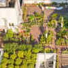 Proper waterproofing is essential before rooftop gardening