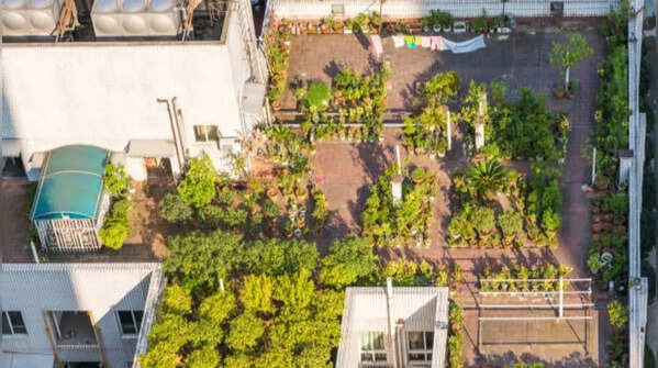 Proper waterproofing is essential before rooftop gardening