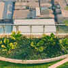 Article image for: Vertical gardening helps maximize small apartment spaces