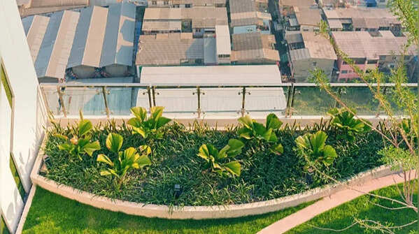 Vertical gardening helps maximize small apartment spaces