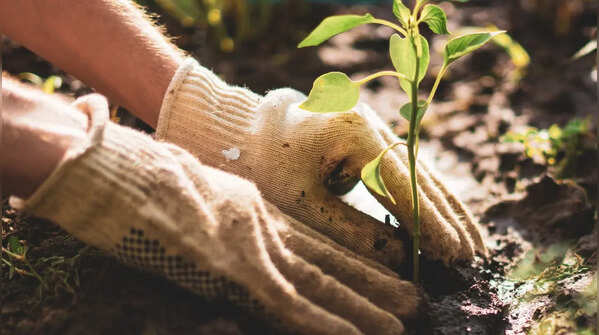 Natural materials