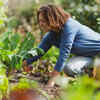 Article image for: Four-season planting