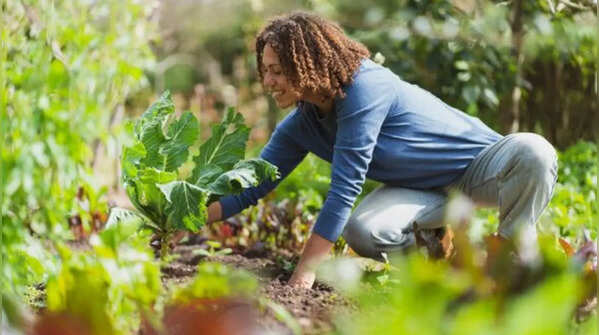 Four-season planting