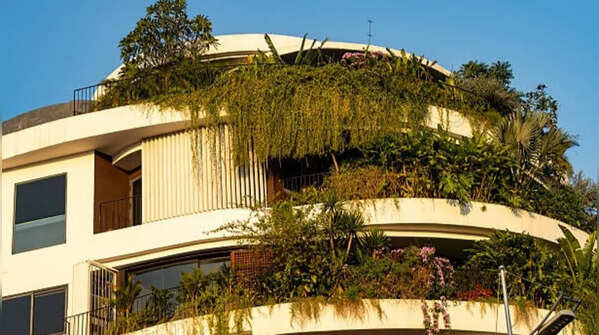The ‘cool roof garden’ trend taking over Indian apartments: Here's how to start one