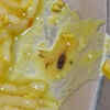 Article image for: Cockroach found in food at RML doctors’ hostel mess, probe ordered