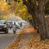 Chandigarh
