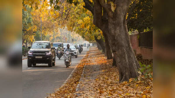Chandigarh