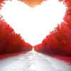 Article image for: “I deserve love that does not constantly confuse me.”