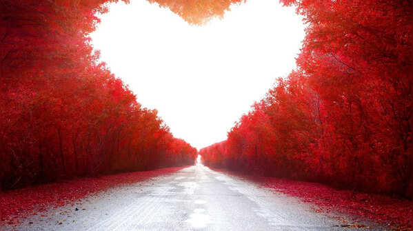“I deserve love that does not constantly confuse me.”