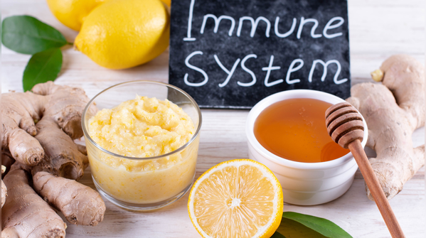 The hidden connection between gut health and immunity