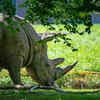 Article image for: Top 10 fascinating facts about rhinos