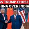 Article image for: Trump In China, 'Quad Is Dead' - Where Does India Stand Now?