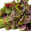 Article image for: Amaranth leaves