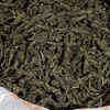 Article image for: IIC, ASI suspended for links with ganja mafia