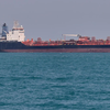 Article image for: Regulator bars 366 foreign-flagged ships from hiring Indian seafarers