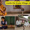 Article image for: Inside the “Snake Village of India”; a traveller’s guide to this mysterious place of venomous cobras