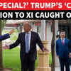 Article image for: 'Do You Bring Others Too?': Trump 'Jealous' During Xi's Private Garden Tour In Beijing
